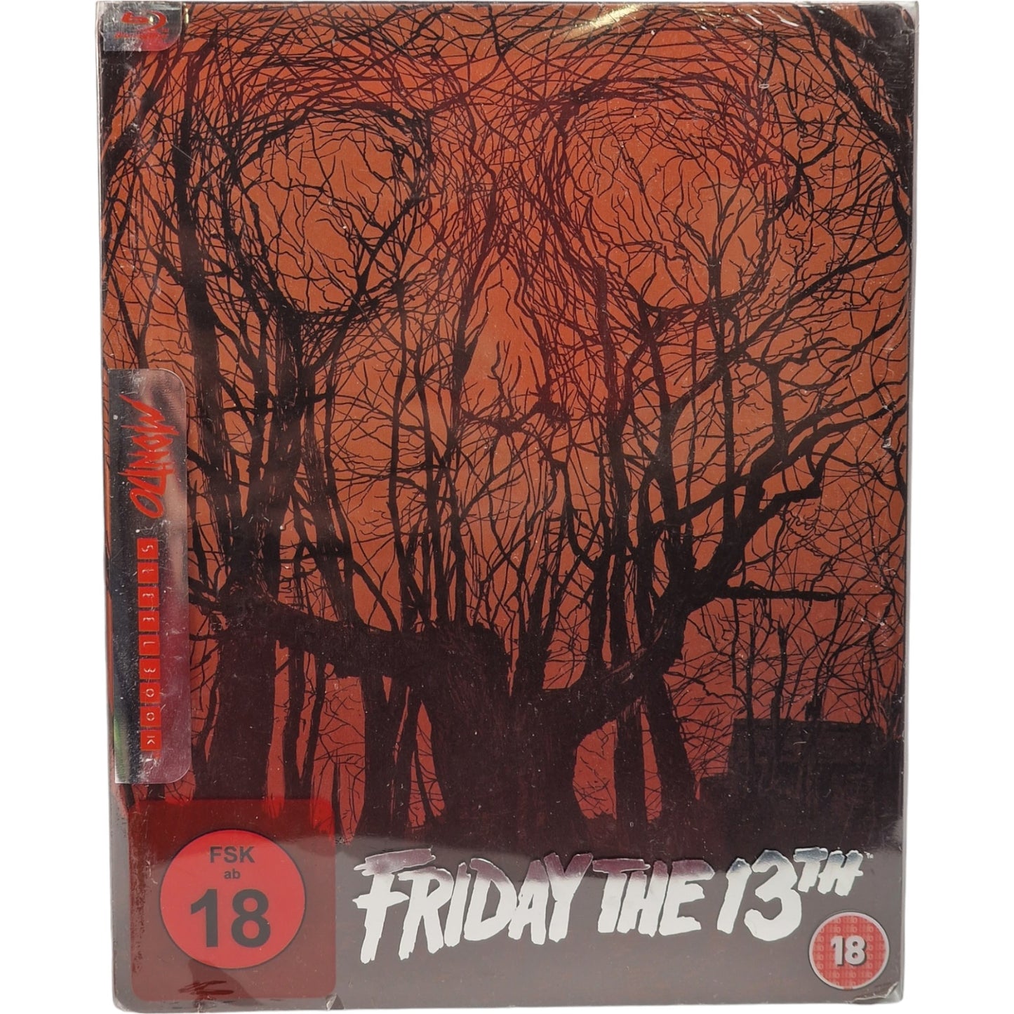 Friday the 13th Blu-ray SteelBook / Vendredi 13 Region B____VF