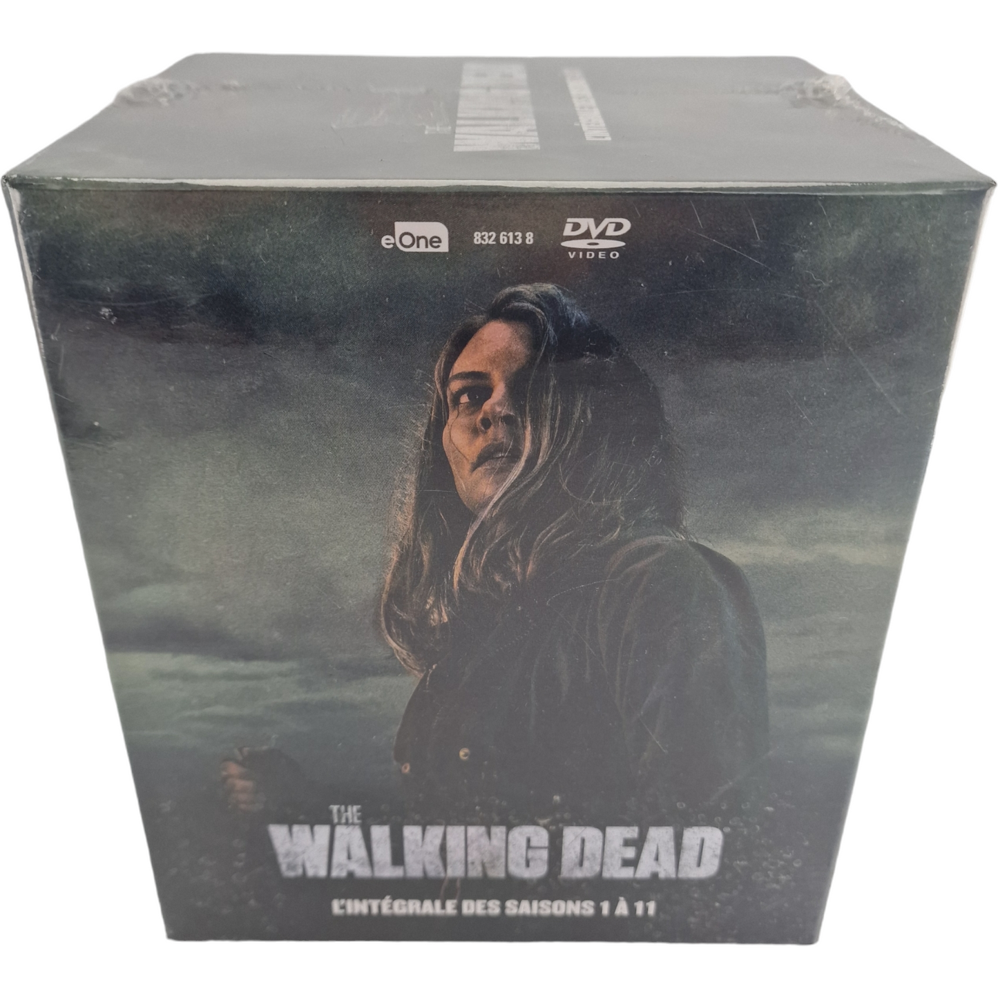 The Walking Dead-L'intégrale des Saisons 1 à 11 Coffret 58 DVD  Zone 2 [-18]