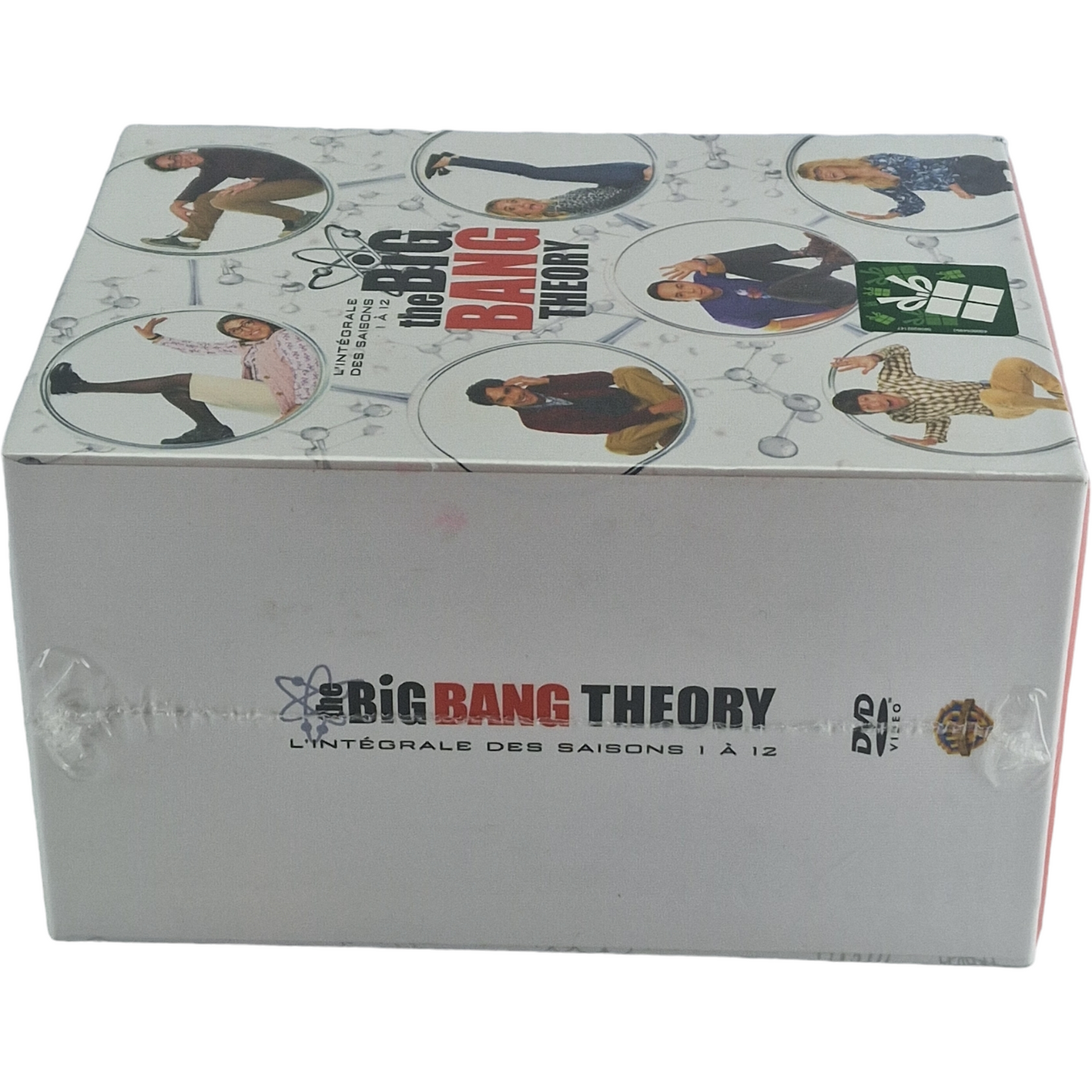 The Big Bang Theory DVD  L'Intégrale-Saisons 1 à 12: Coffret 279 épisodes Zone B