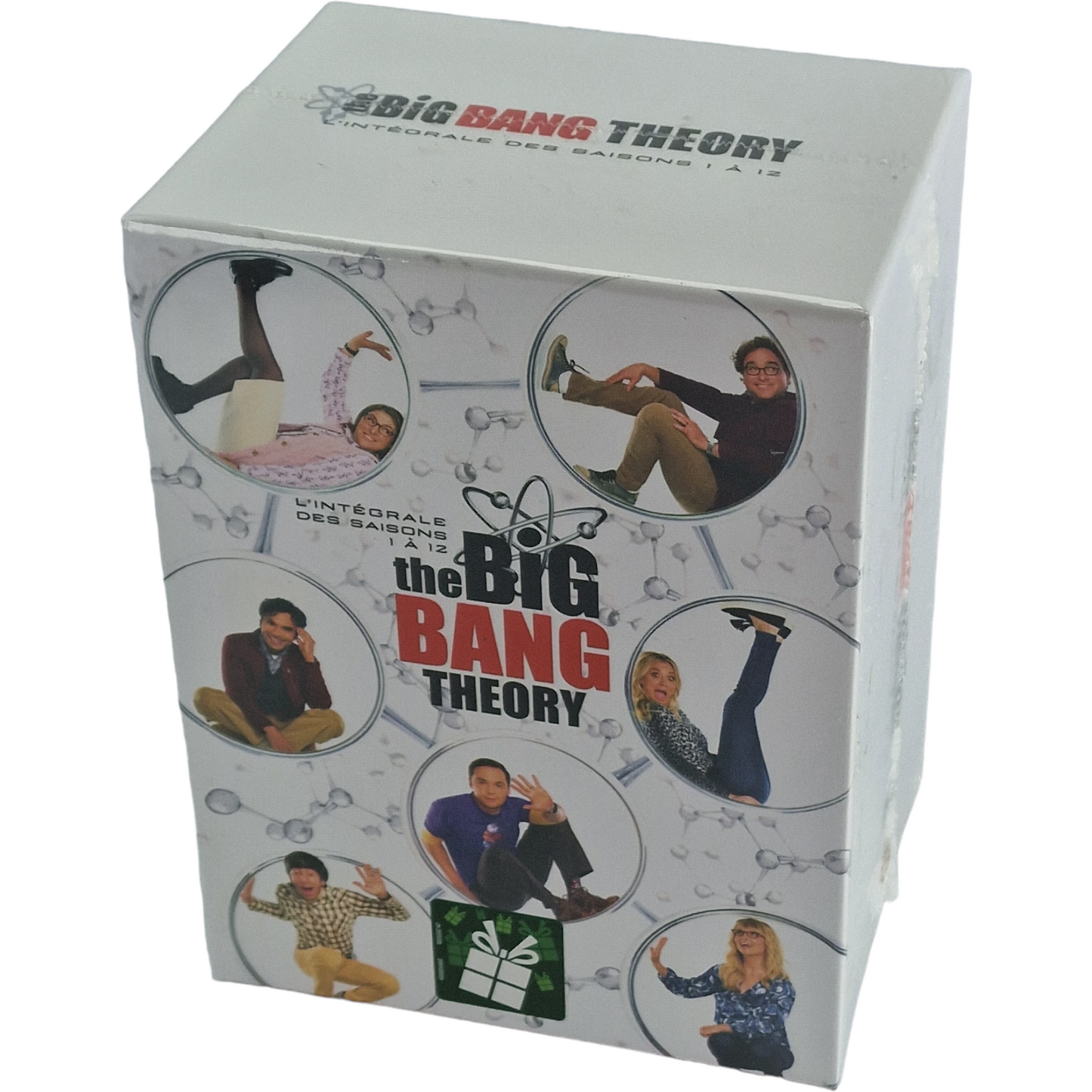 The Big Bang Theory DVD  L'Intégrale-Saisons 1 à 12: Coffret 279 épisodes Zone B