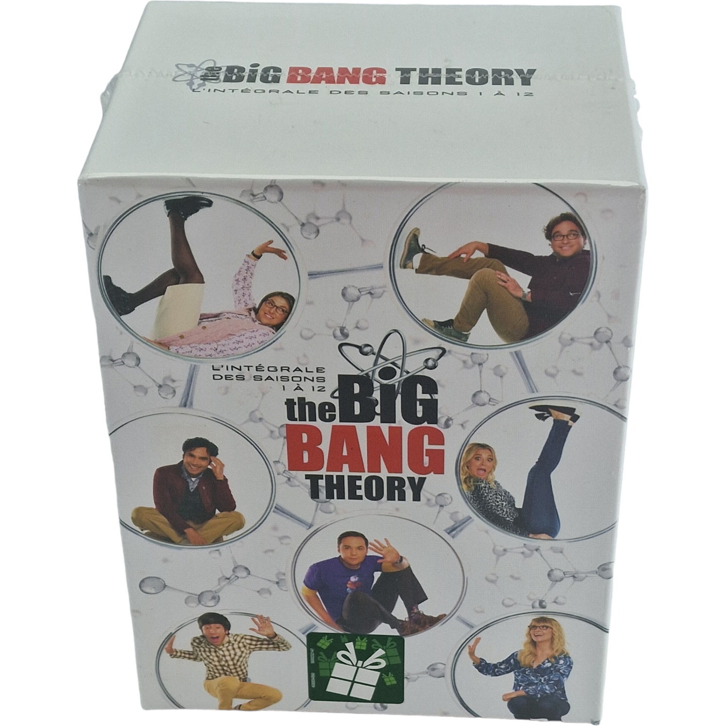 The Big Bang Theory DVD  L'Intégrale-Saisons 1 à 12: Coffret 279 épisodes Zone B