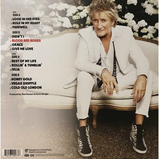 Rod Stewart – Blood Red Roses , 2 x Vinyle, LP, Album